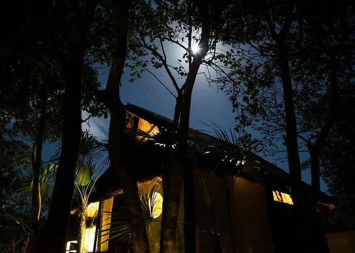 Zamna * Tulum