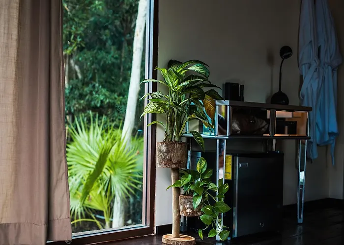 Zamna * Tulum